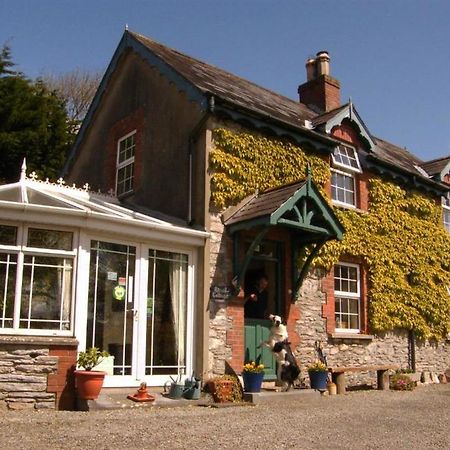 Druid Cottage Kenmare Kültér fotó