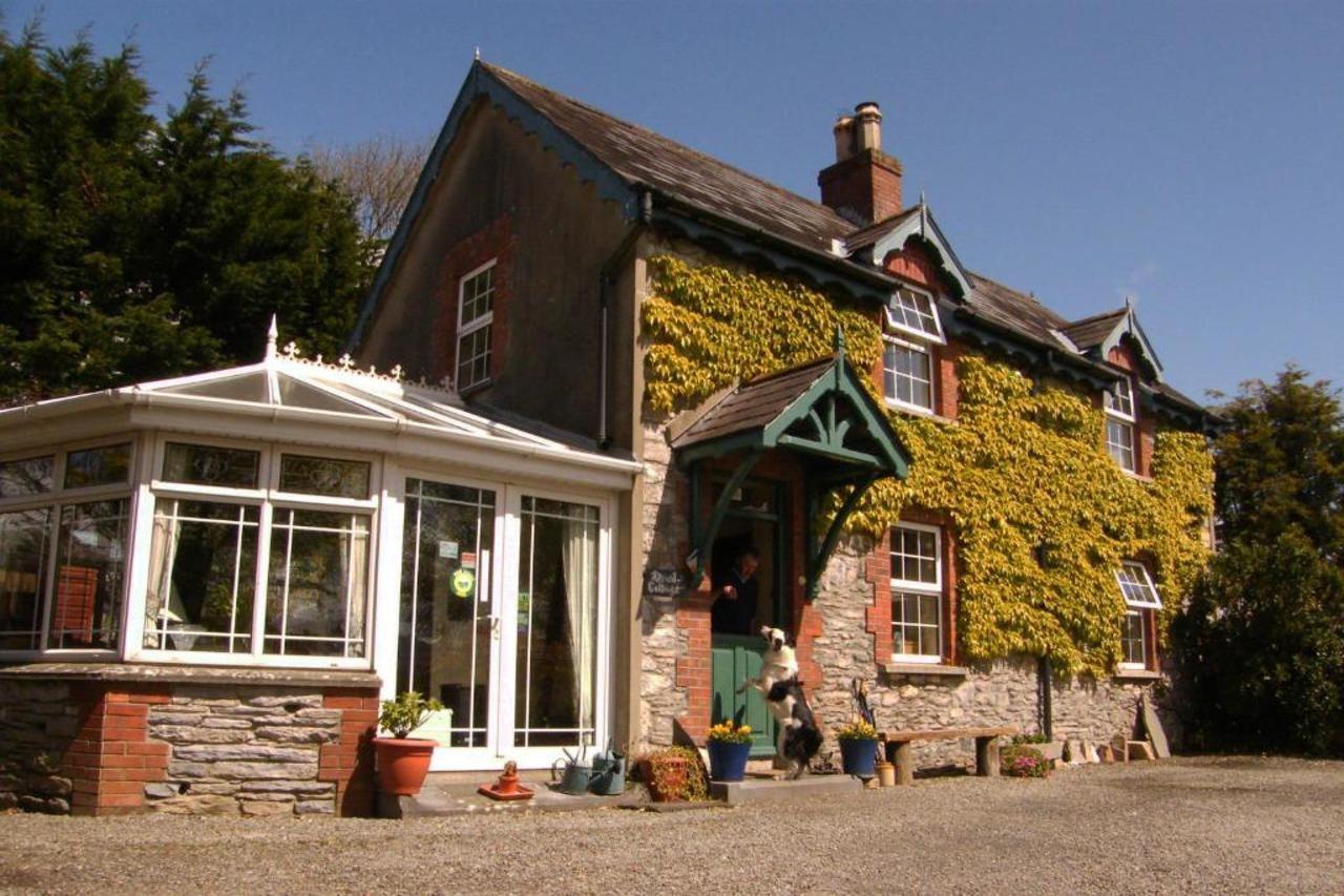 Druid Cottage Kenmare Kültér fotó